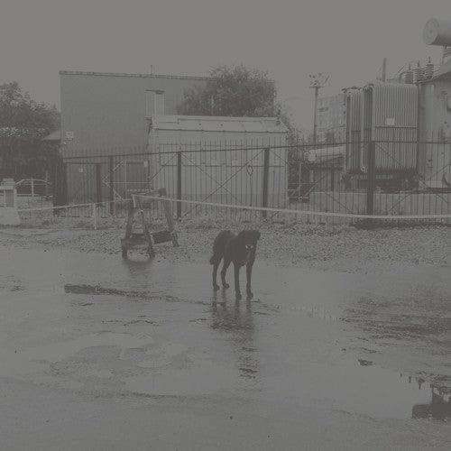 Nivhek- After Its Own Death / Walking In A Spiral Towards The House ( LP )