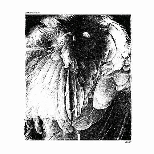Crisci, Domenico: Velvet - 12-INCH SINGLE
