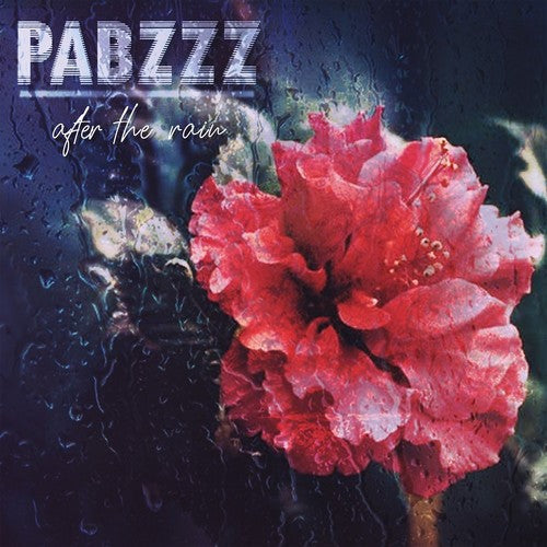 Pabzzz: After The Rain { Record }