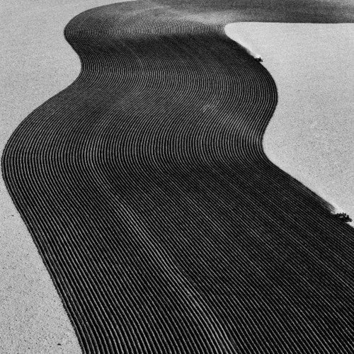 Rainer Veil: Vanity { Record }