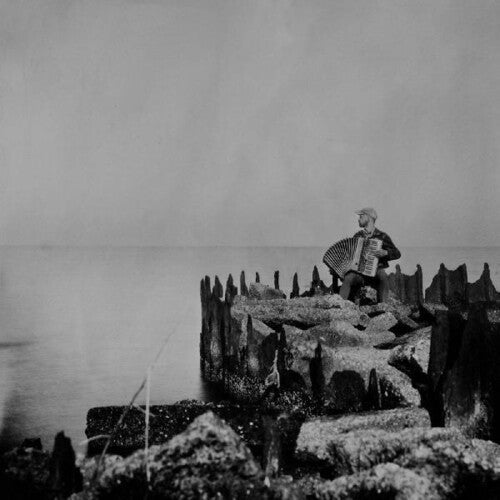 Walt McClements: A Hole In The Fence { Record }