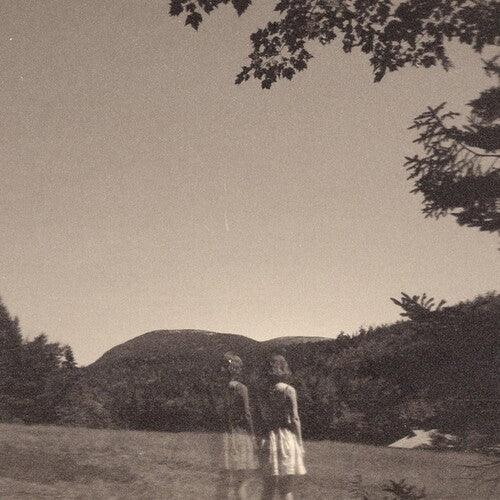 Goldmund- The Malady Of Elegance ( LP )