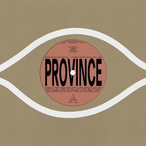 Bartees Strange- Province / Ever New ( LP )