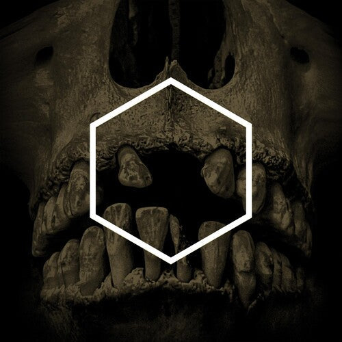 Various Artists: The Others (Lustword Deconstructed) (Various Artists) - VINYL