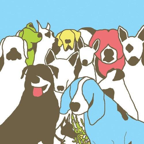 The Format- Dog Problems ( LP )