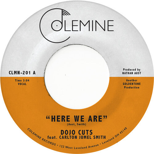 Dojo Cuts: Here We Are - VINYL