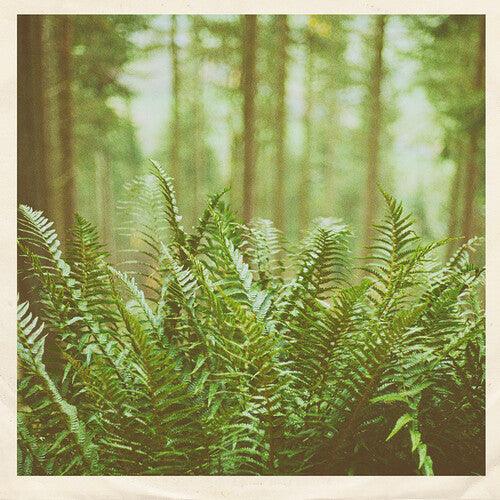 mtbrd- Just Visiting ( LP )
