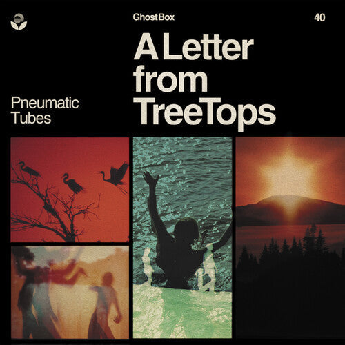 Pneumatic Tubes: Letter From Treetops { Record }