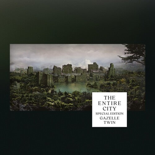 Gazelle Twin: Entire City { Record }