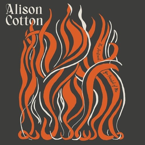 Alison Cotton: Portrait You Painted of Me { Record }