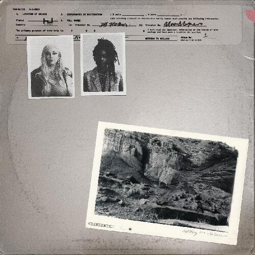 700 Bliss: Nothing To Declare { Record }