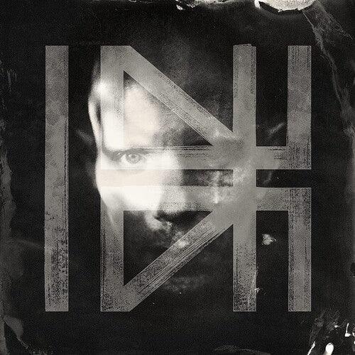 Billy Howerdel- What Normal Was ( LP )