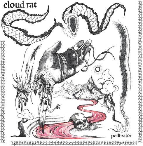 Cloud Rat- Pollinator ( LP )