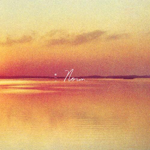 Andy Shauf- Norm ( LP )