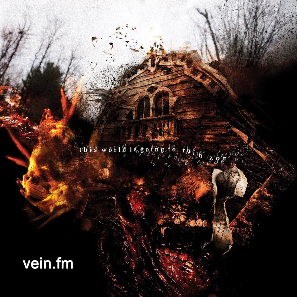 Vein.Fm- This World Is Going To Ruin You ( LP )