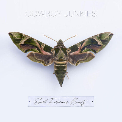 Cowboy Junkies: Such Ferocious Beauty - VINYL