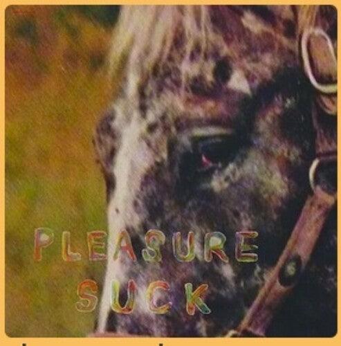 Spirit of the Beehive- Pleasure Suck ( LP )