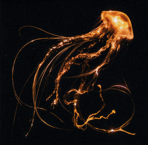 Royal Blood: Back To The Water Below - CD