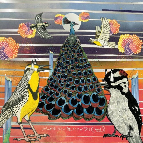 Jaimie Branch: Fly Or Die - VINYL