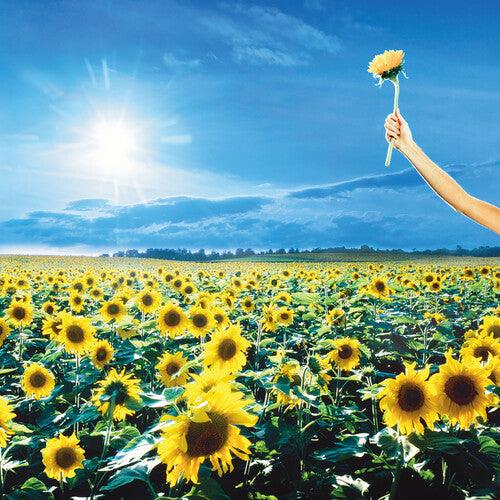 Stone Temple Pilots- Thank You ( LP )