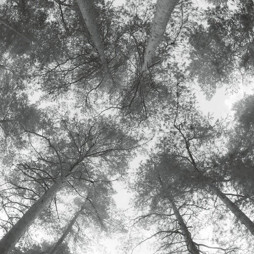 Cassandra Miller: Traveller Song/Thanksong { Record }