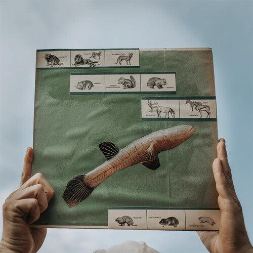 Cotton Jones- The River Strumming ( LP )