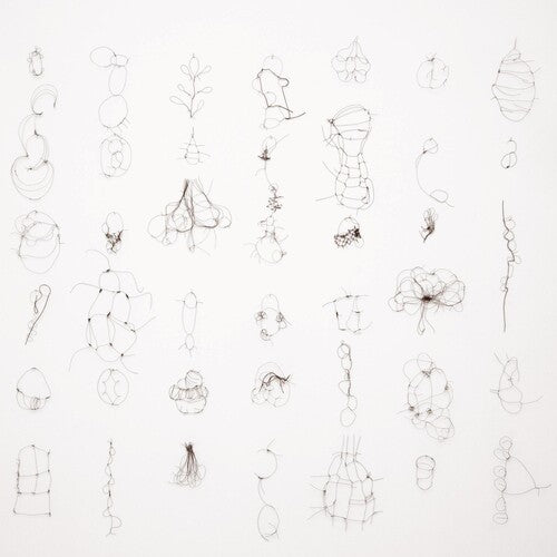 Maria Reich: Interdependenzen - CD