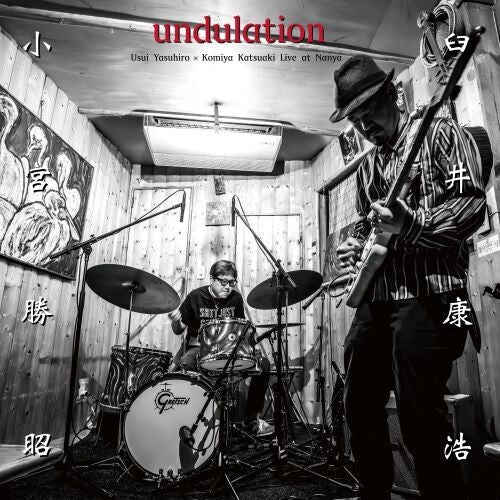 Yasuhiro Usui: undulation - VINYL