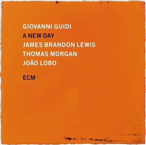 Guidi, Giovanni / Lewis, James Brandon / Thomas: A New Day - VINYL