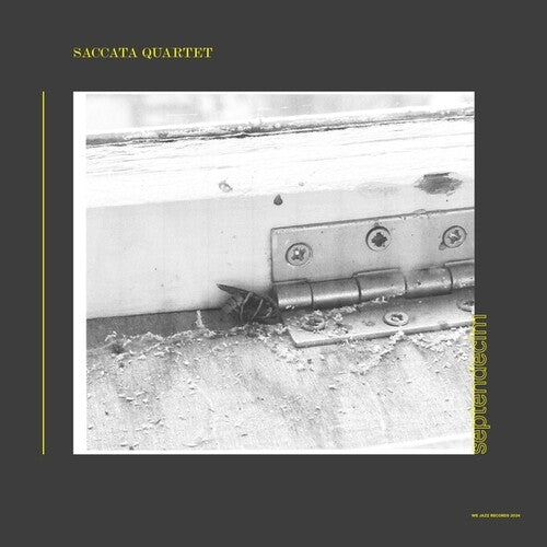 Saccata Quartet: Septendecim - VINYL