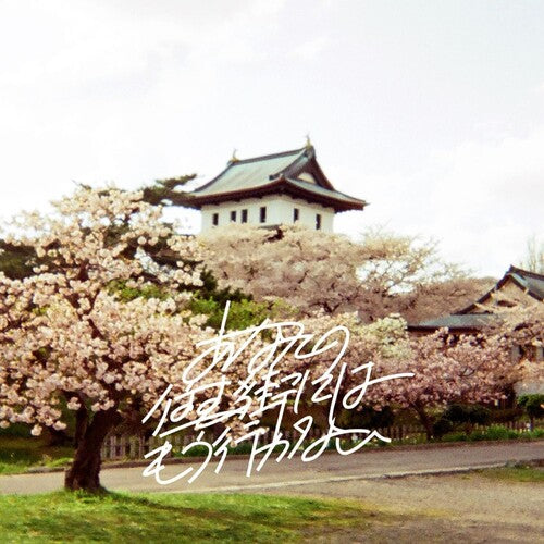 Weiscape: Never Going To The Town Where You Live Anymore - CASSETTES