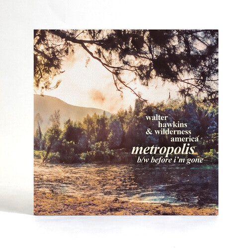 Walter Hawkins: Metropolis - 7-INCH SINGLE