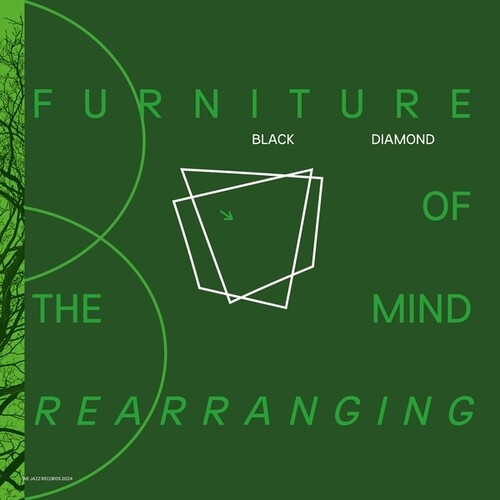 Black Diamond: Furniture Of Mind Rearranging - VINYL