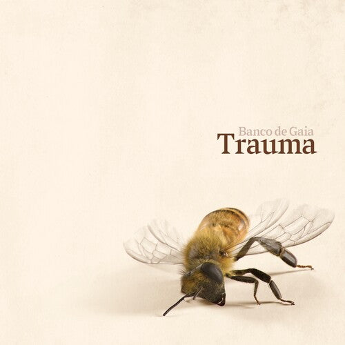 Banco de Gaia: Trauma - COMPACT DISCS