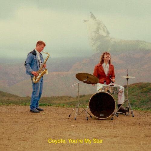 Dana & Alden- Coyote, You're My Star ( LP )