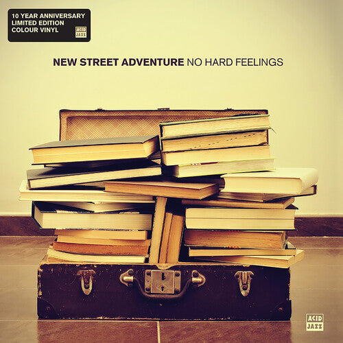 New Street Adventure: No Hard Feelings - VINYL