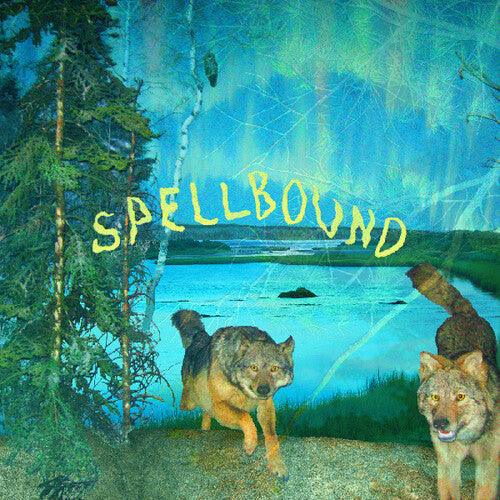 Boyscott- Spellbound ( LP )