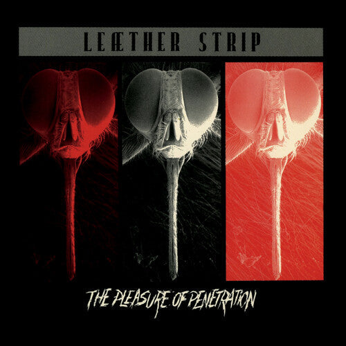 Leather Strip: The Pleasure of Penetration { Record }