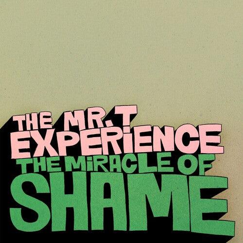 Mr T Experience- Miracle Of Shame ( LP )