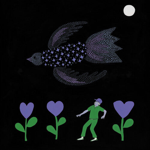 Bonnie Prince Billy-The Purple Bird ( LP )
