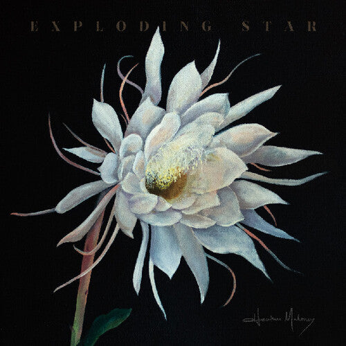 Heather Maloney- Exploding Star ( LP )