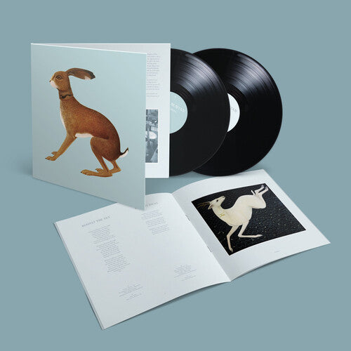 Vashti Bunyan- Lookaftering - Expanded ( LP )