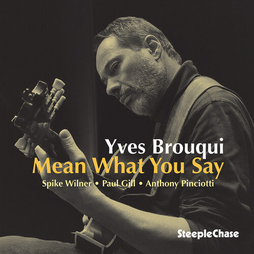 Yves Brouqui: Mean What You Say - CD