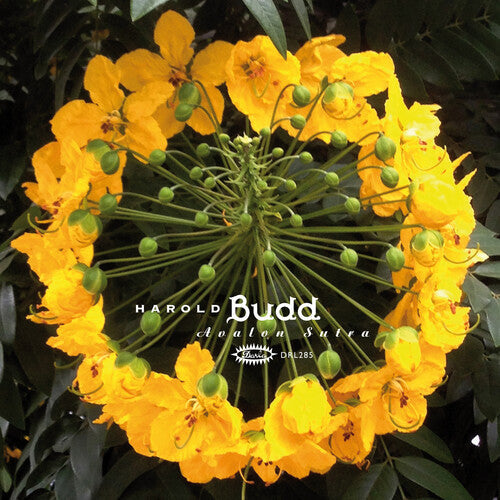 Harold Budd- Avalon Sutra ( LP )