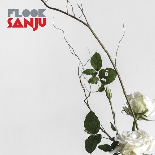 Flook- Sanju ( LP )