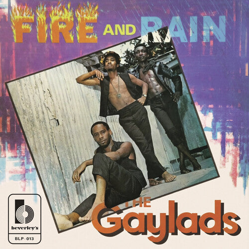 The Gaylads: Fire And Rain - VINYL