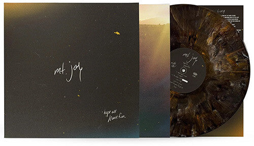 Mt. Joy: Hope We Have Fun - VINYL