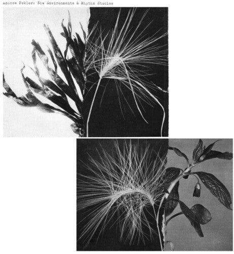 Andrew Pekler- New Environments And Rhythm Studies ( LP )