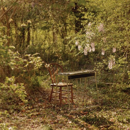 Luke Schneider: For Dancing In Quiet Light { Record }