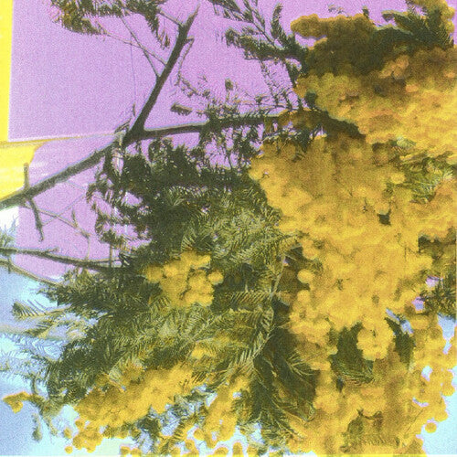 Four Tet- Into Dust (Still Falling) (Indie Exclusive Vinyl) ( LP )
